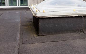disadvantages of Roddymoor flat roofs